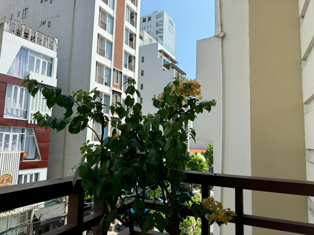 Thanh Hien Hb Hotel Đà Nẵng Extérieur photo